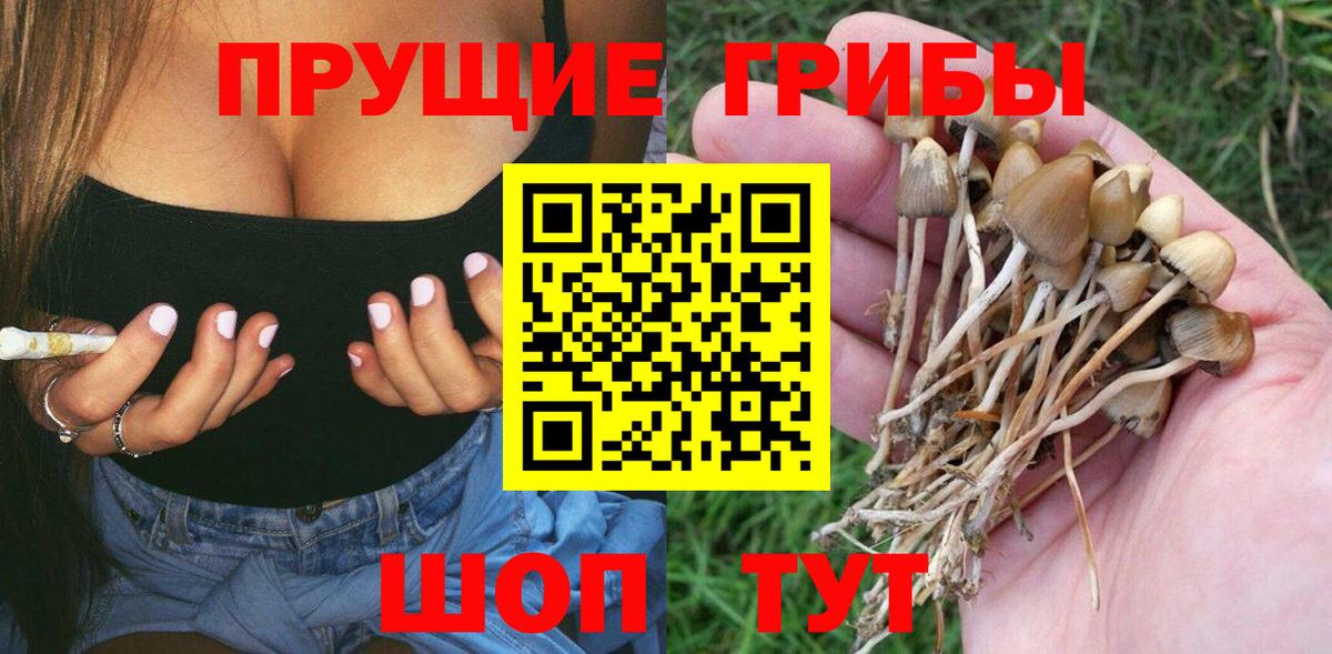 Псилоцибиновые грибы GOLDEN TEACHER Дмитров